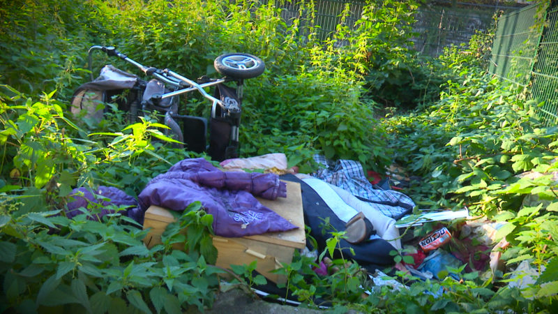 Roma Probleme (Foto: SAT.1 NRW)