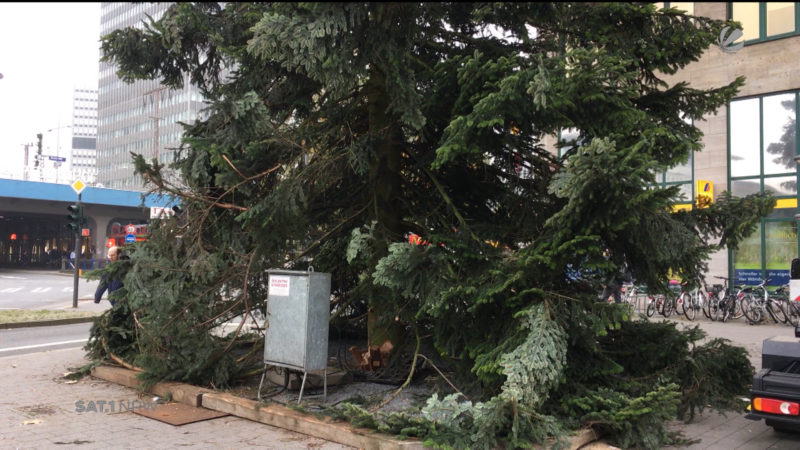 Hässlicher Weihnachtsbaum (Foto: SAT.1 NRW)