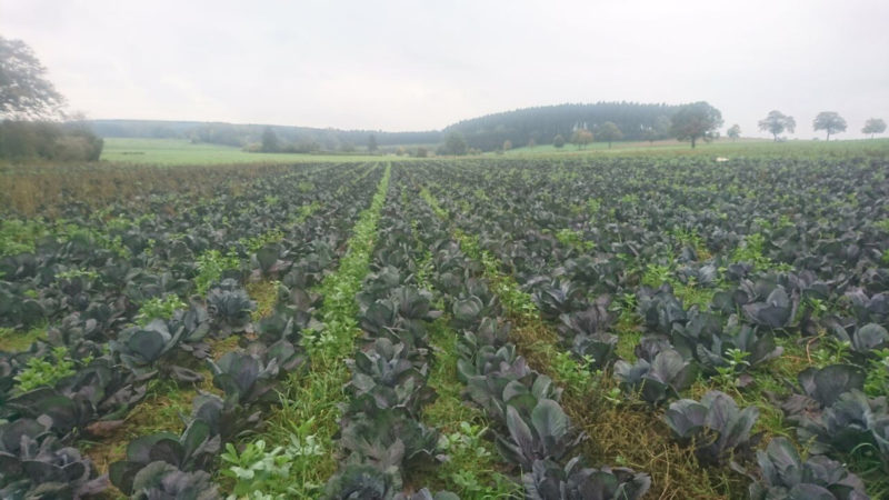 Biobauer klagt wegen Pflanzenschutzmitteln (Foto: Privat)