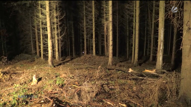 Leiche im Wald könnte Frau von Schlagersänger sein (Foto: SAT.1 NRW)