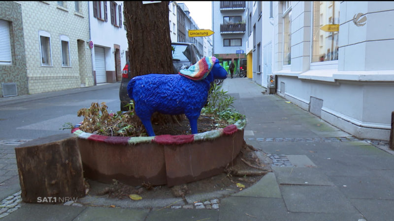 Blaues Schaf sorgt für mächtig Ärger (Foto: SAT.1 NRW)