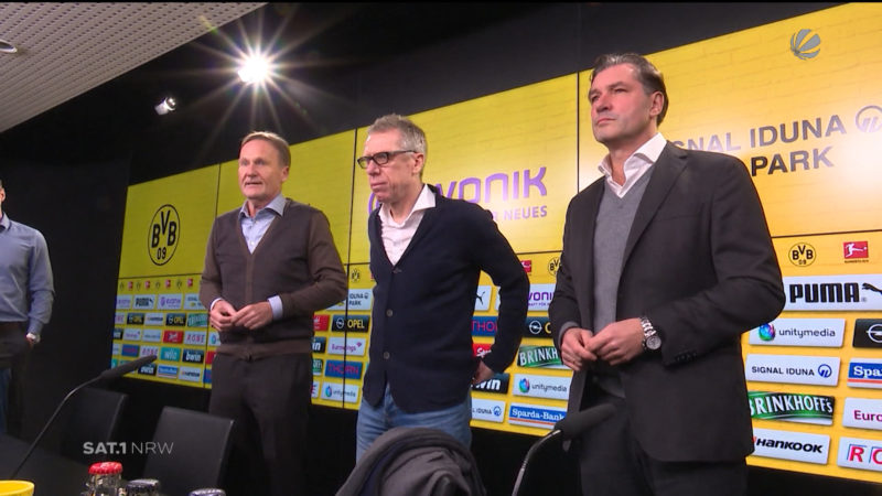 Peter Stöger als neuer BVB-Coach (Foto: SAT.1 NRW)