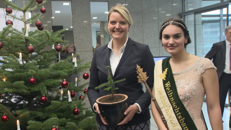 Weihnachtsbaum-Königin (Foto: SAT.1 NRW)