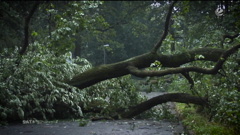 Klimawandel in NRW (Foto: SAT.1 NRW)