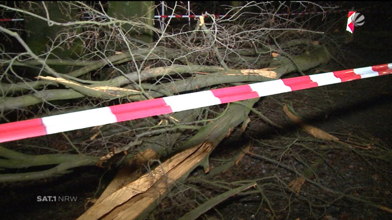 Weiteres "Sturm-Opfer" bei Aufräumarbeiten (Foto: SAT.1 NRW)