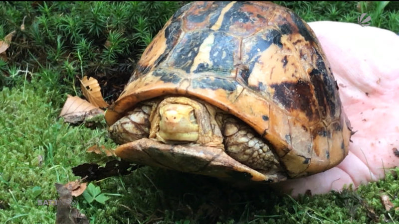 Münster: Zootier des Jahres (Foto: SAT.1 NRW)