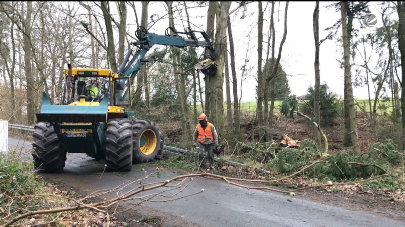 Sturmtief-Folgen in der Forstwirtschaft (Foto: SAT.1 NRW)