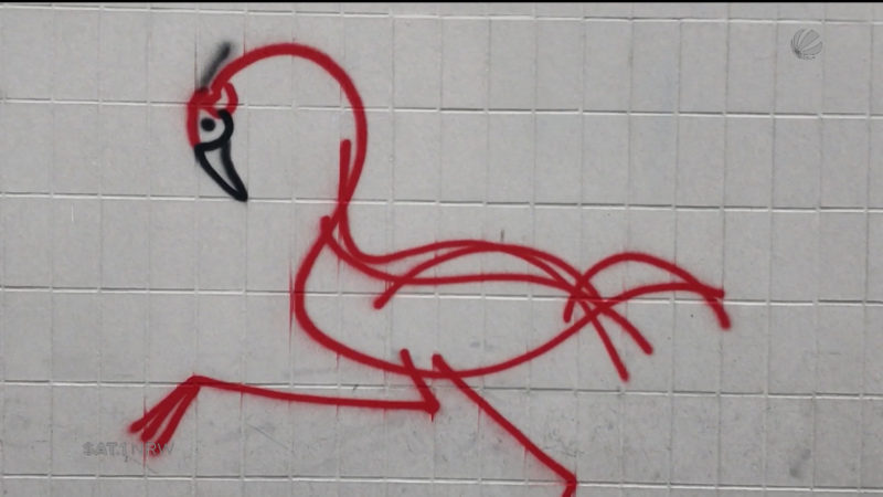 Flamingo Graffito als Kunstwerk enttarnt (Foto: SAT.1 NRW)