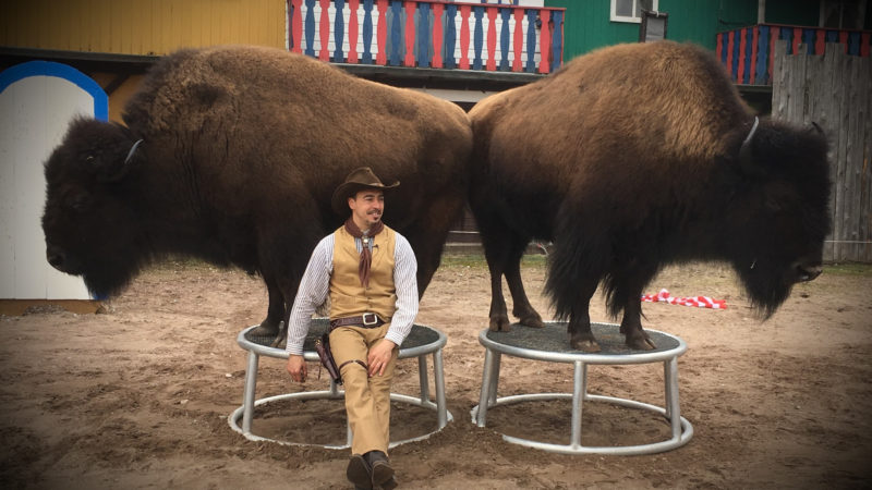 Tanzende Bisons (Foto: SAT.1 NRW)