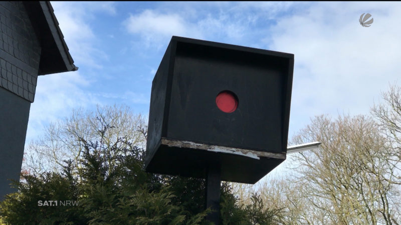 Selbstgebaute Blitzer-Attrappe (Foto: SAT.1 NRW)