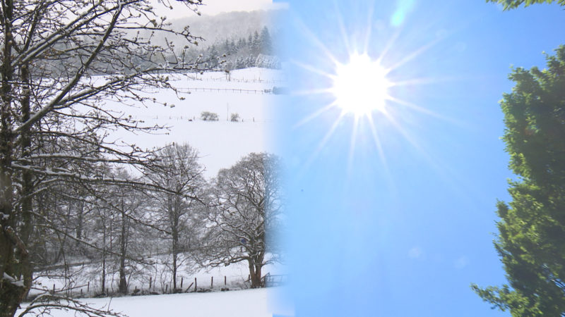 WETTERVERGLEICH (Foto: SAT.1 NRW)