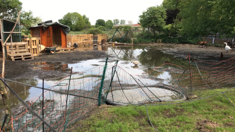 Unwetter zerstört Tierhof (Foto: SAT.1 NRW)