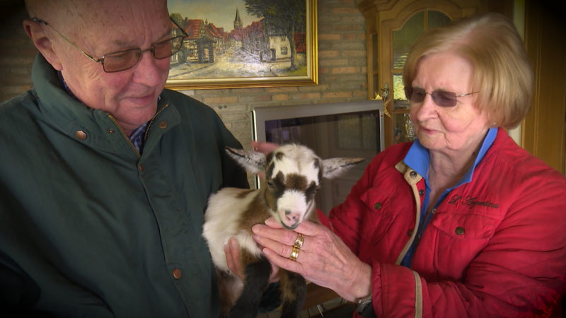 Ziegen-Baby als Haustier (Foto: SAT.1 NRW)