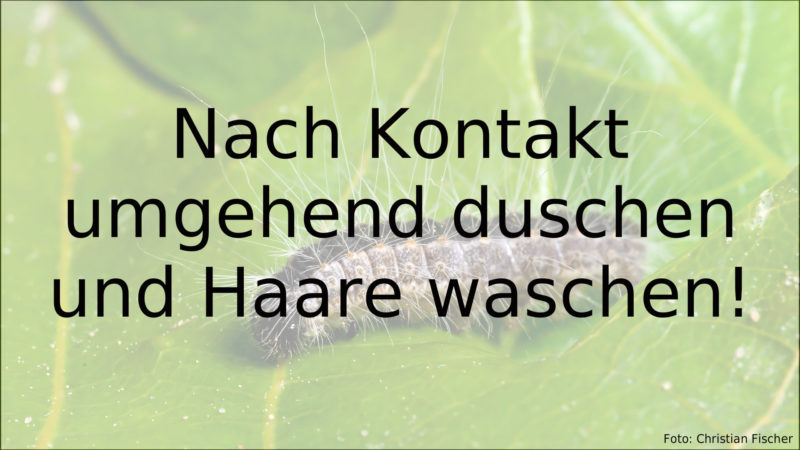  (Foto: SAT.1 NRW)