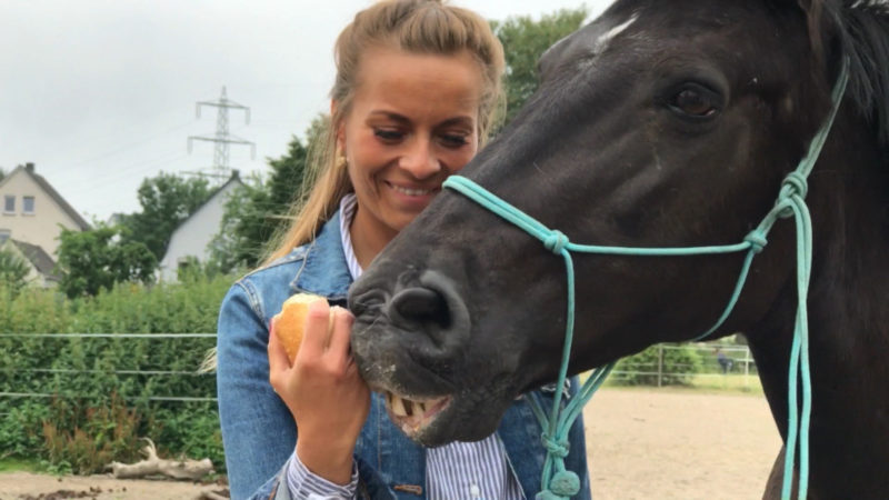 Stute 'Bibi' sieht wieder! (Foto: SAT.1 NRW)