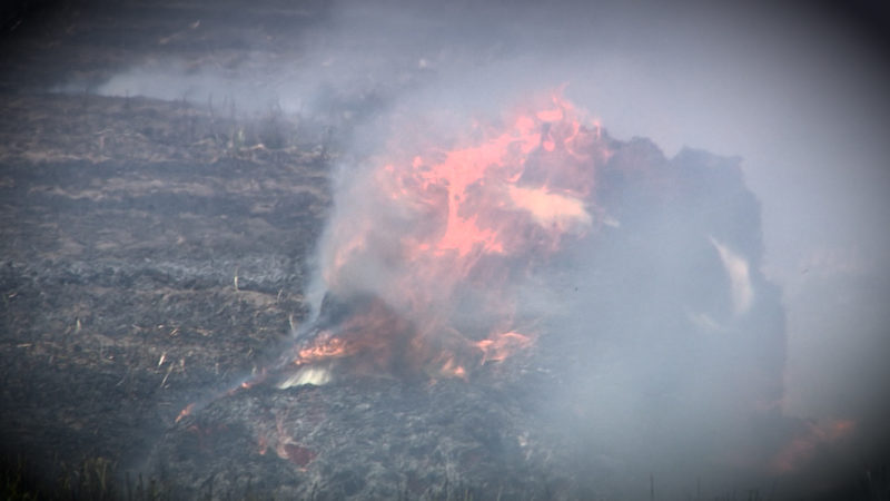 Feuer in Weeze (Foto: SAT.1 NRW)