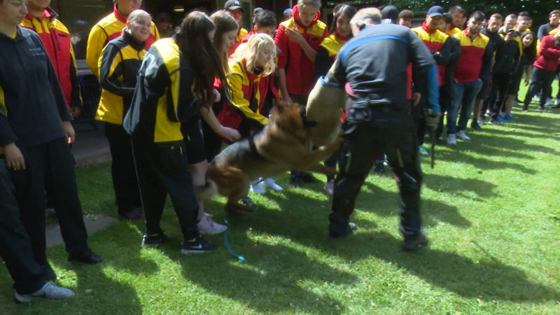 Hundetraining für Postboten (Foto: SAT.1 NRW)