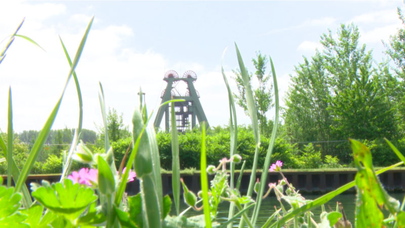 Wie eitel ist das Ruhrgebiet? (Foto: SAT.1 NRW)