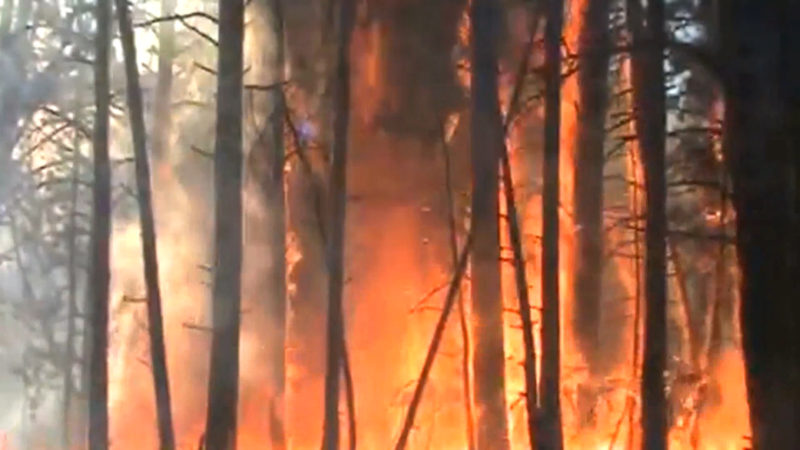 Waldbrandgefahr - Diese Frau weiß wie es ist gegen Flammen zu kämpfen (Foto: SAT.1 NRW)