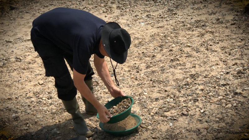 DIE ETWAS ANDERE SCHATZSUCHE (Foto: SAT.1 NRW)