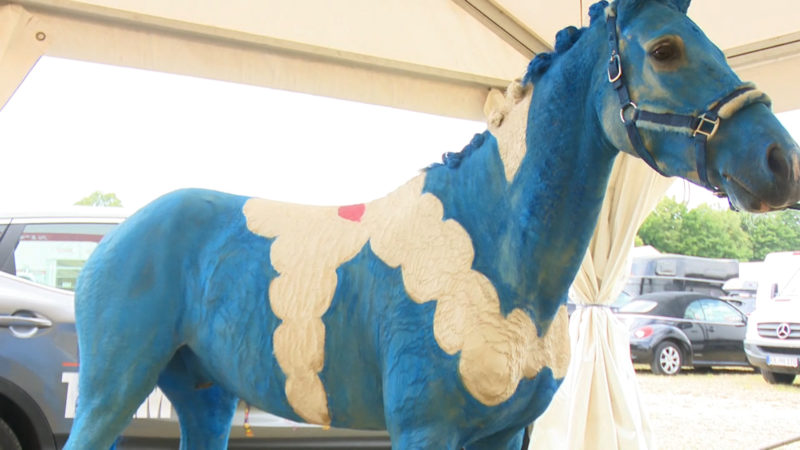 Wenn das Pferd zur Leinwand wird (Foto: SAT.1 NRW)