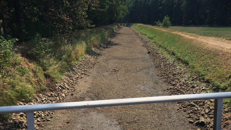 Ausgetrocknet -  Freiwillige retten Fische (Foto: SAT.1 NRW)