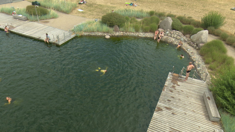 Trübes Wasser (Foto: SAT.1 NRW)