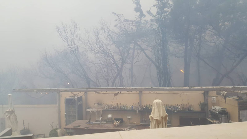 Aus dem Flammen gerettet - Wuppertaler Familie entkommt der Feuer Hölle in Griechenland (Foto: SAT.1 NRW)