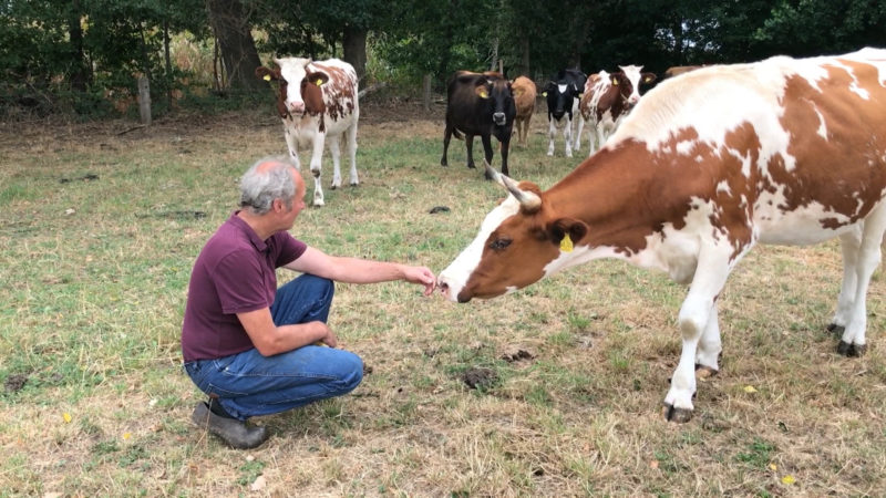 Dürre-Hilfe für Landwirte (Foto: SAT.1 NRW)