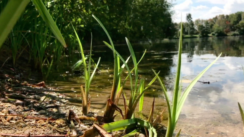 Die Schlangenjagd geht weiter (Foto: SAT.1 NRW)