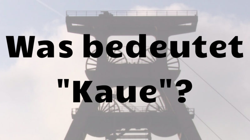  (Foto: SAT.1 NRW)