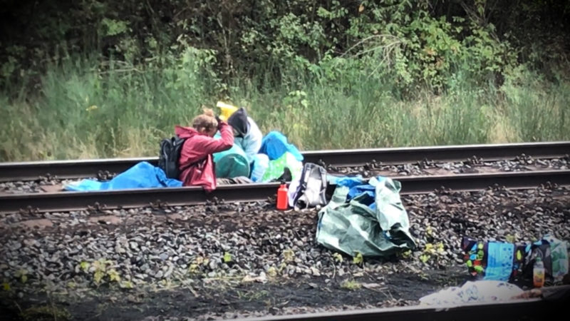 IN HAMBACHER FORST WERDEN PROTESTE VORBEREITET (Foto: SAT.1 NRW)