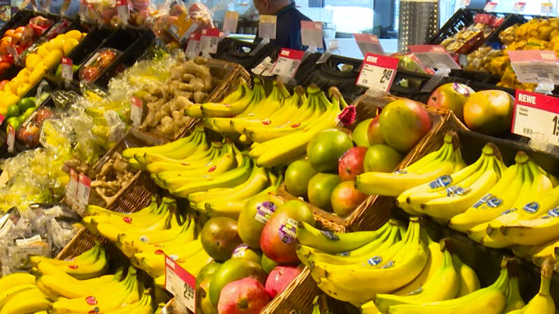 Bananen, die in die Europäische Union eingeführt werden, müssen eine Länge von mindestens 14 cm und eine Dicke von mindestens 27 mm besitzen. (Foto: SAT.1 NRW)