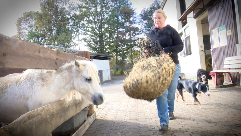 REITERHOF IN NOT (Foto: SAT.1 NRW)