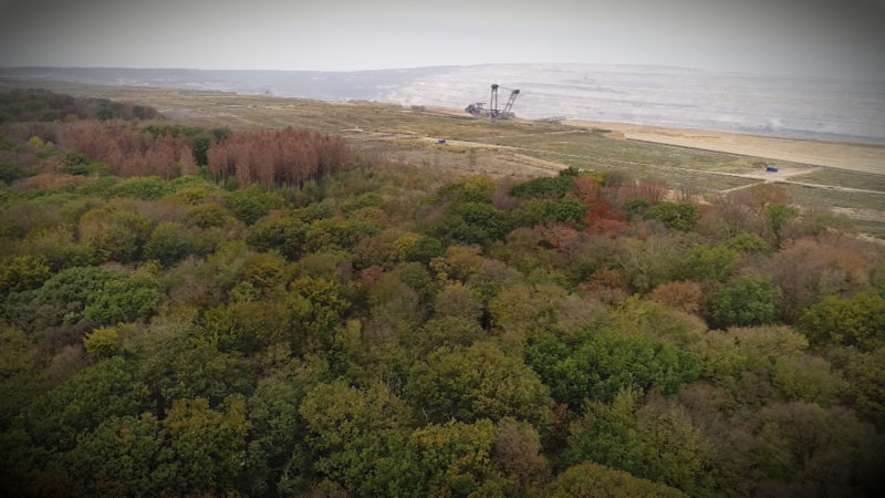 Die Wahrheit rund um die Räumung des Hambacher Waldes gefordert (Foto: SAT.1 NRW)