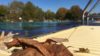 Ins Freibad im Oktober! (Foto: SAT.1 NRW)