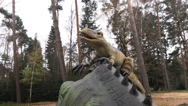 Die Dinos sind zurück! (Foto: SAT.1 NRW)