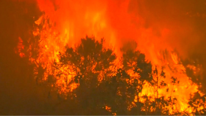 So dramatisch sind die Australien-Feuer (Foto: SAT.1 NRW)