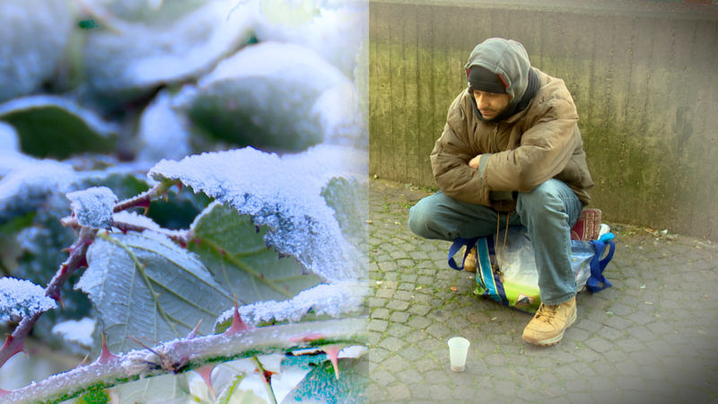 Unterwegs mit dem Kältebus (Foto: SAT.1 NRW)