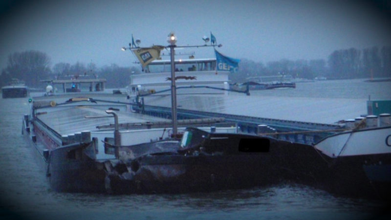 Öl-Verschmutzung im Rhein (Foto: SAT.1 NRW)