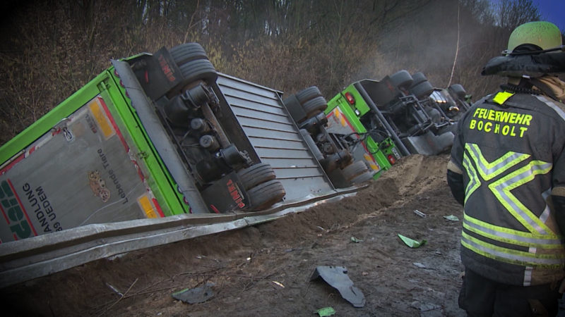 Unfall mit Viehtransporter (Foto: SAT.1 NRW)