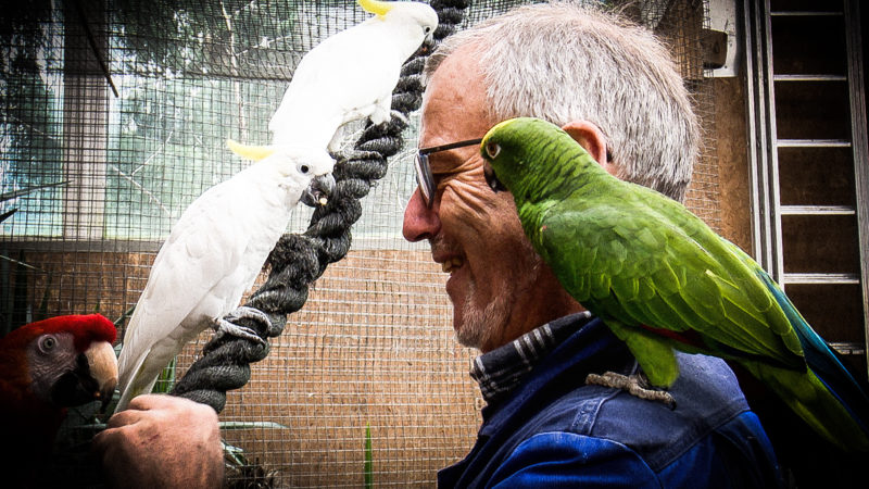 Mann lebt mit 130 Papageien (Foto: SAT.1 NRW)