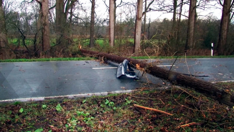 Schwerer Sturm über NRW (Foto: SAT.1 NRW)