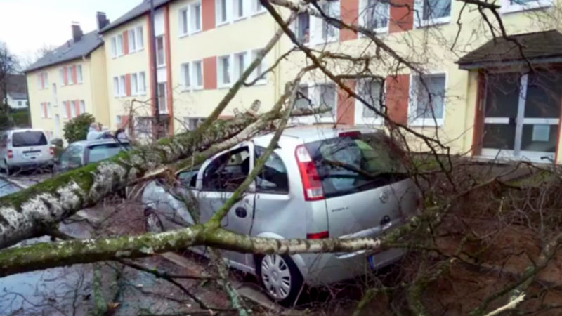 Sturm Eberhard verwüstet NRW (Foto: SAT.1 NRW)