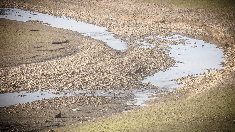 Trockenheit trotz Dauerregen im Frühling (Foto: SAT.1 NRW)