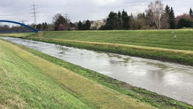 Emscher komplett abwasserfrei (Foto: SAT.1 NRW)