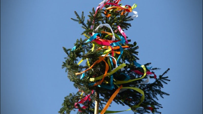 MAIBAUM-TRADITION (Foto: SAT.1 NRW)