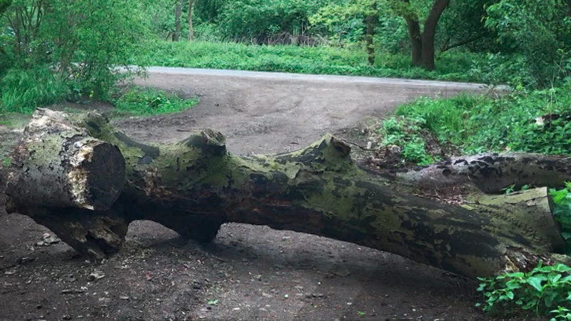 Waldbesitzer blockiert Wege (Foto: SAT.1 NRW)