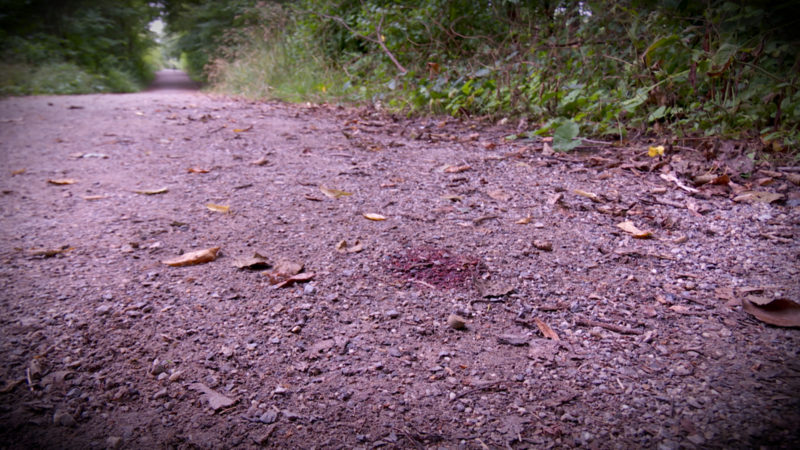 WIEDER EINE JUGENDLICHE MISSBRAUCHT (Foto: SAT.1 NRW)