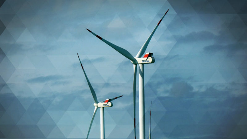 Nabu verklagt Windpark-Betreiber (Foto: SAT.1 NRW)